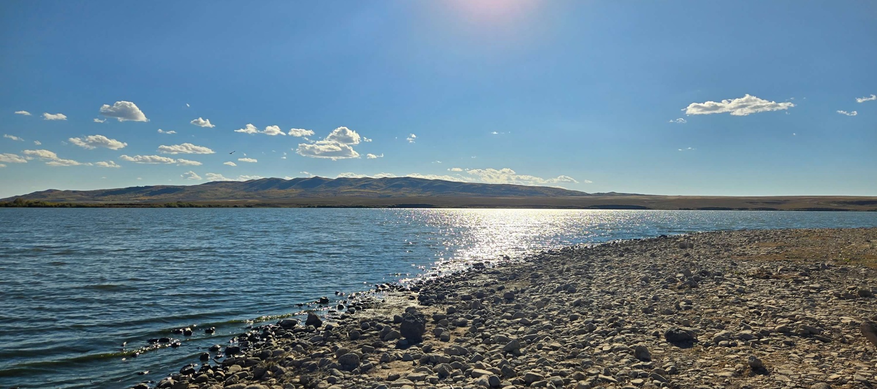 Couple sitting together on couch looking at laptop